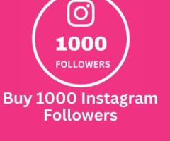 Buy 1000 Instagram Followers To Build Your Brand