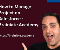 How to Manage Project on Salesforce - Brainiate Academy