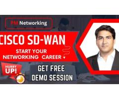 Elevate Your Networking Skills with Cisco SD-WAN Training Course