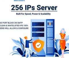 Maximize Value: Budget-Friendly 256 IP Dedicated Servers