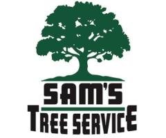 Land Clearing Services in Sonoma County