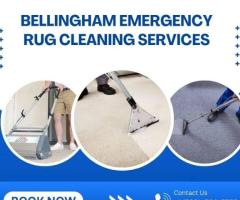 Swift Solutions: Bellingham's Emergency Rug Cleaning Services at Your Doorstep