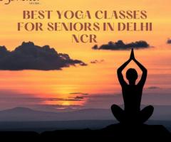 Best Yoga for Seniors in Delhi NCR