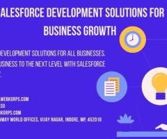 Custom Salesforce Development Services for Business Growth