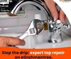 egrahmantreehome services jaipur, electrician and plumber jaipur