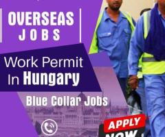 Hungary work permit