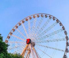 Australian Ferris Wheel Experience: Sky-High Delight