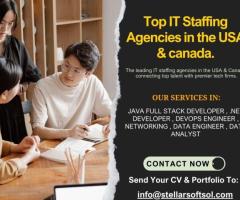 Top IT Staffing Agencies in the USA