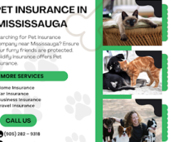 Pet Insurance in Oakville
