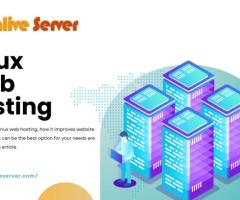 Maximize Your Online Presence with Onlive Server Linux Web Hosting