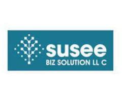 Susee BIZ Solution - Embedded Design Services In Connecticut