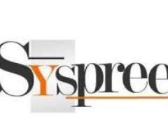 SySpree Digital - Best SEO Companies