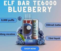 ELF Bar TE6000 Blueberry