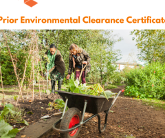 Prior Environmental Clearance Certificate - Metacorp ITES pvt LTD