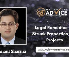 Legal Remedies for Struck Properties and Projects