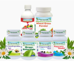 Renew Your Vitality with Anemia Care Pack by Planet Ayurveda