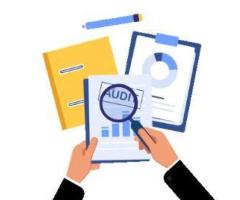 Audit Solutions