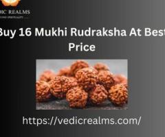 Buy 16 Mukhi Rudraksha At Best Price