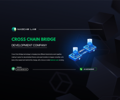 Cross Chain Bridge Development Company