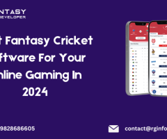 Best Fantasy Cricket Software For Your Online Gaming In 2024