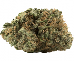 Choose Premium Medical Marijuana Dispensary | Doobie Deuce