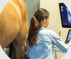 Advancing Equine Wellness with Diowave Laser Therapy