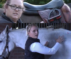 Mastering Equine Comfort: Saddle Fitting Courses at Equitopia Center - 1