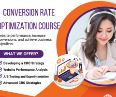 Conversion Rate Optimization Course  training institute in Hyderabad
