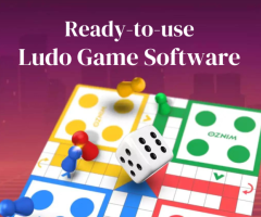 Ready to Launch Ludo Game Platform in the USA