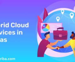 Affordable Hybrid cloud services in Dallas - 1