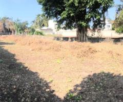 Land For Sale in San Blas - 1