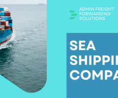 Best Sea Shipping Company in New York