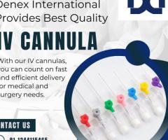 Denex International Provides Best Quality IV Cannula