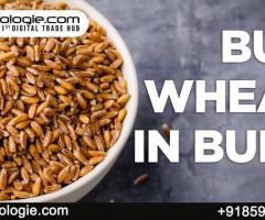 Buy Bulk Wheat in India