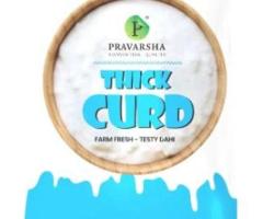 Thick curd