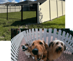 High-Quality PVC Fence: Durable and Affordable | Top PVC Fence Supplier