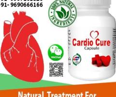 Get rid of cardiovascular problems with H - 1
