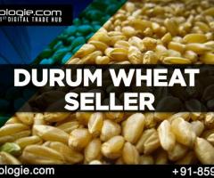 Durum Wheat Seller