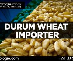 Durum Wheat Importer