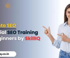 Advanced Search Engine Optimization Course  | SkillIQ