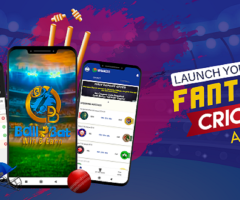 Top Fantasy Cricket App Development Company
