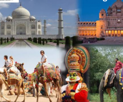 Tour Packages To India From USA | Squid Travel