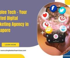 Digital Marketing Solutions Tailored for Singapore – Simplee Tech Services!