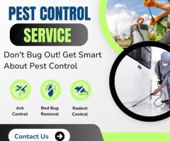 Specific Pest Control's Effective Possum Removal Services in Melbourne - 1