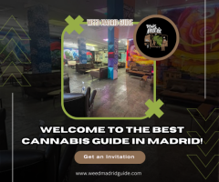 Best Cannabis Club in Madrid
