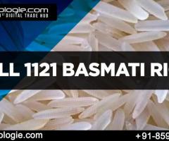 Sell 1121 Basmati Rice