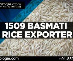 1509 Basmati Rice Exporter