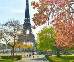Paris Famous Locations | Guided Tours - 1