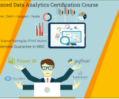 Data Analytics Certification Course in Delhi.110064. Best Online Data Analyst