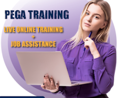 Pega Online Training in Ameerpet - 1